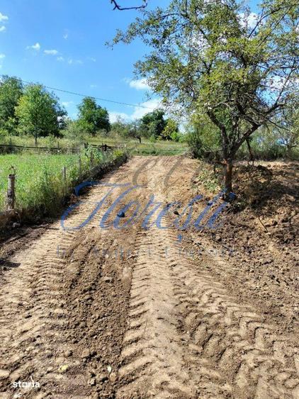 Teren intravilan, 1300 mp, front la strada, utilitati, Iara - 6