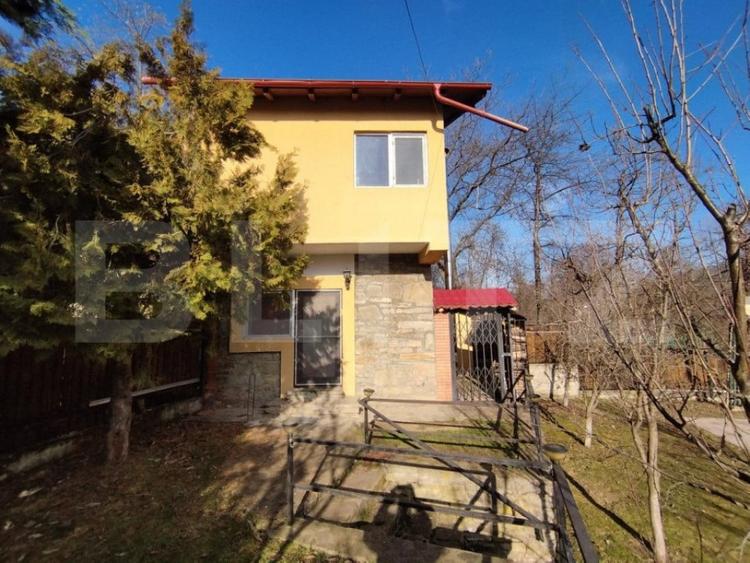 Casa individuala 4 camere plus casa de oaspeti, Drajna - 6