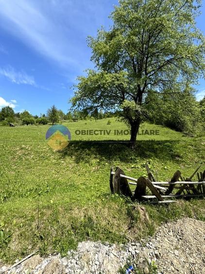 Teren 5777 mp in comuna Ceahlau - 4