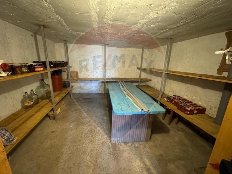 Casă / Vilă cu 6 camere de vânzare în zona Darmanesti - 28