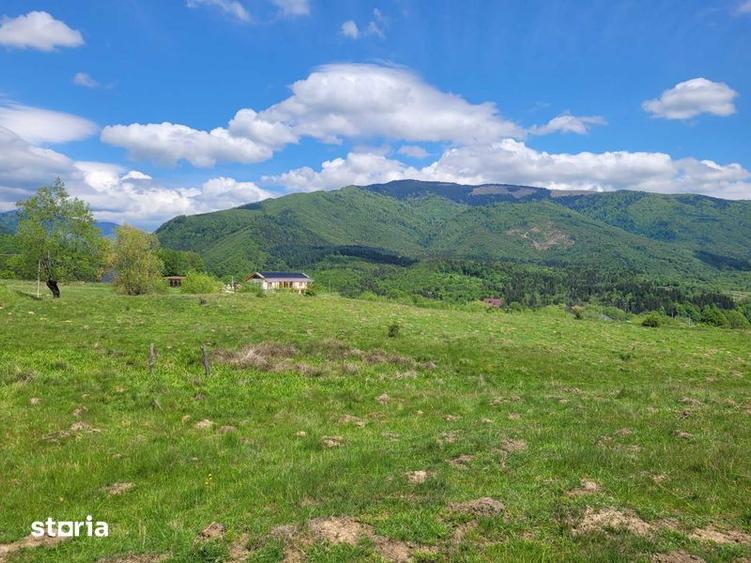 teren de vanzare Slatina ,Comuna Nucsoara - 4