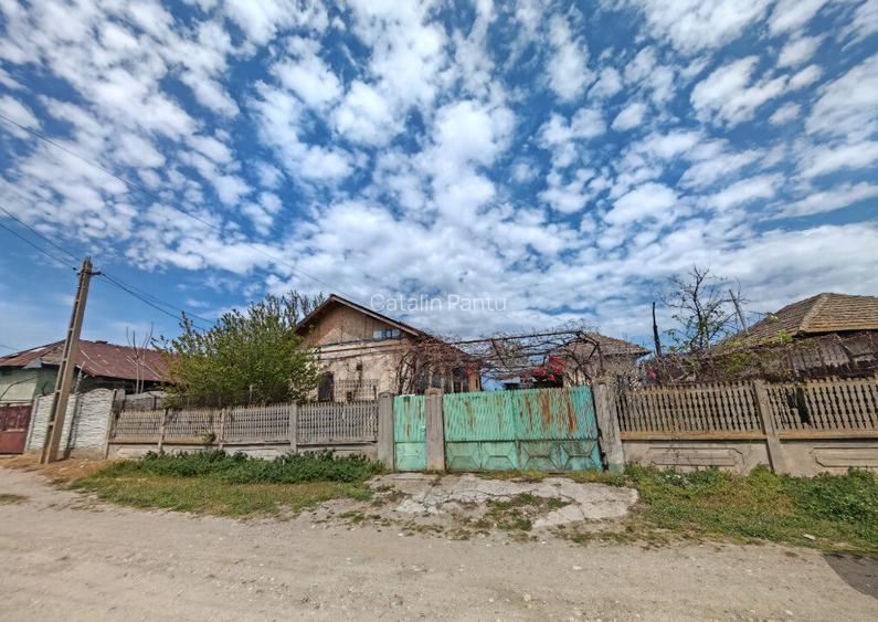 Casa Batraneasca 1500m2 Castranova, Dolj