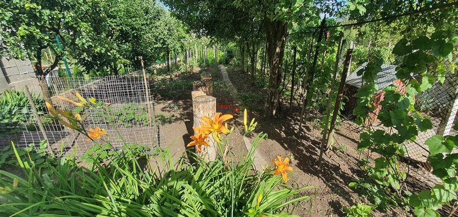 Casa cu etaj,S+P+E 791mp teren Zona Schit - 26