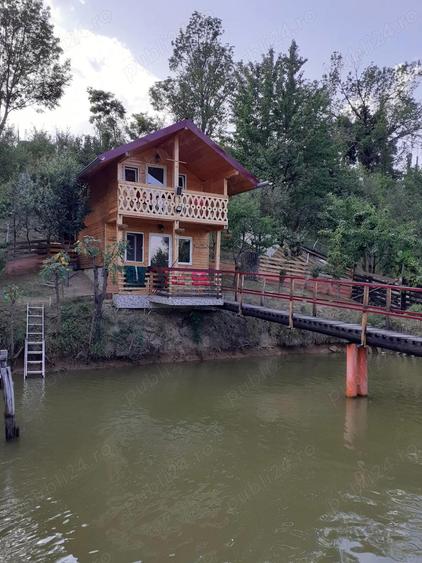 Casa de vanzare:Serel, jud Hunedoara,cu spa?iu comercial ?i iaz de peste. Detalii doar la telefon. - 8