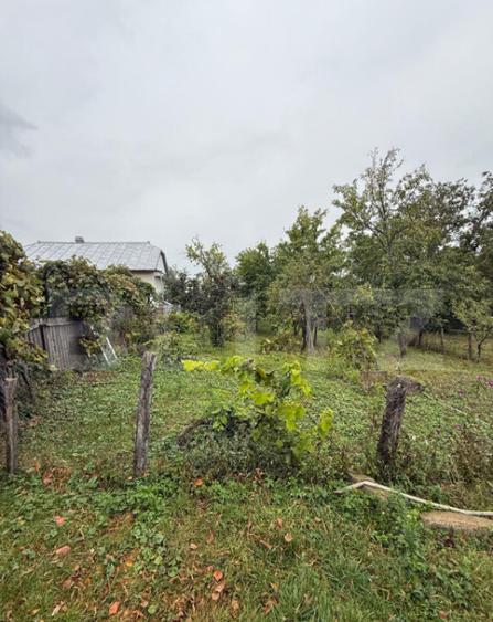 Casa batraneasca, 65 mp si teren intravilan 5600 mp, Adancat - 13