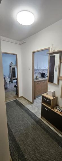 Apartament de 2 camere decomandate, 45 mp, balcon, Zona Grigorescu/Fantanele - 5