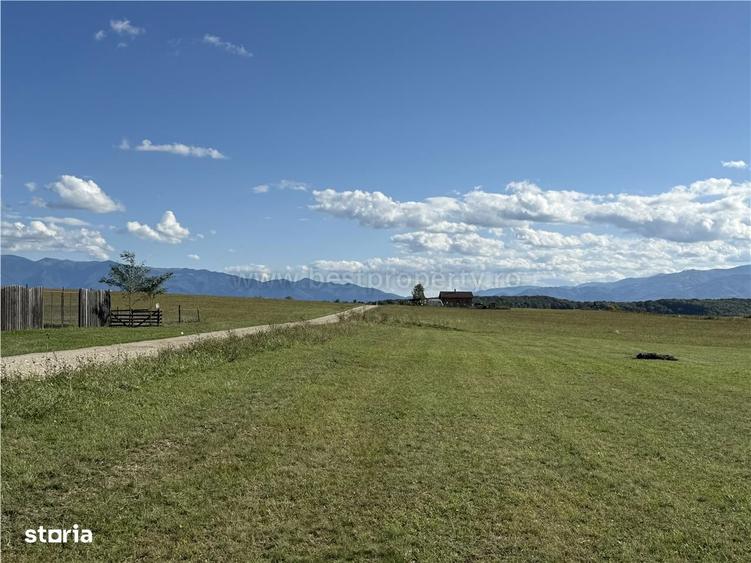 Teren de vanzare Sibiu - Selimbar zona Dealul Daii - Platoul Zorabia - 10