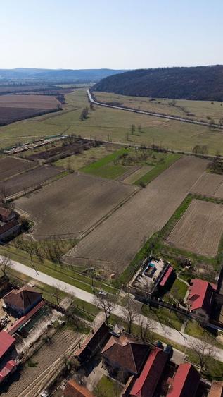 Loc de casă în Odvoș - Conop 3000mp - 29