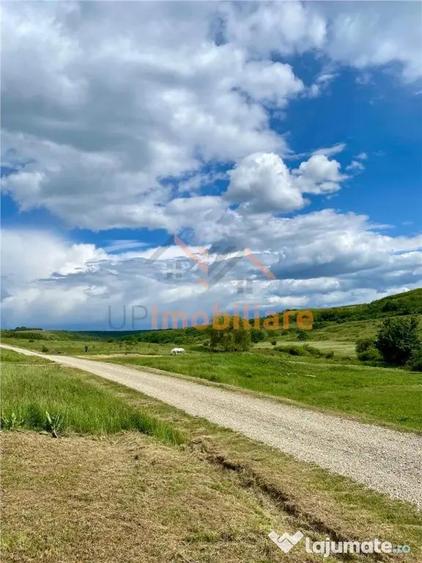 TEREN SI CASA UILEACUL DE MUNTE | 2.215MP - 1