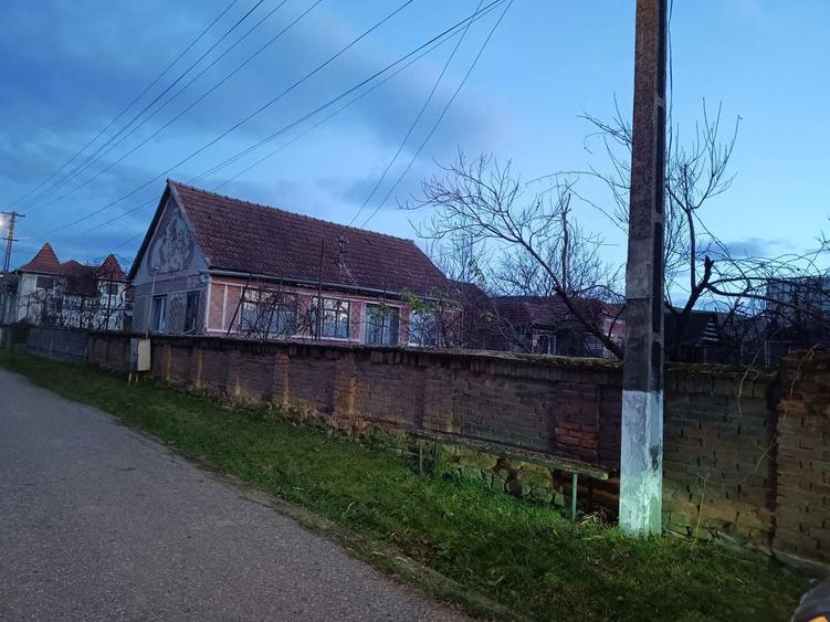 Vand casa si teren in satul Petreni, comuna Bacia - 4