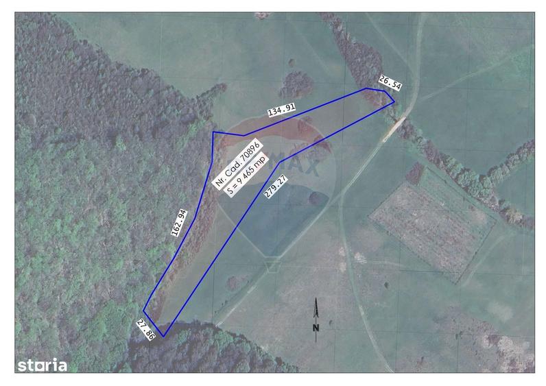Teren intravilan, 9465 mp, Betfia, langa padure, de vanzare - 3