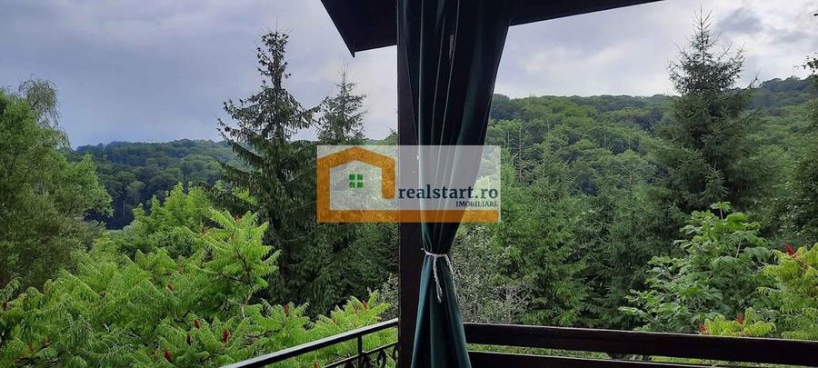Sighisoara Oportunitate, Restaurant cu MiniPensiune 800mp, 1,8ha teren, Via Transilvanica - 18