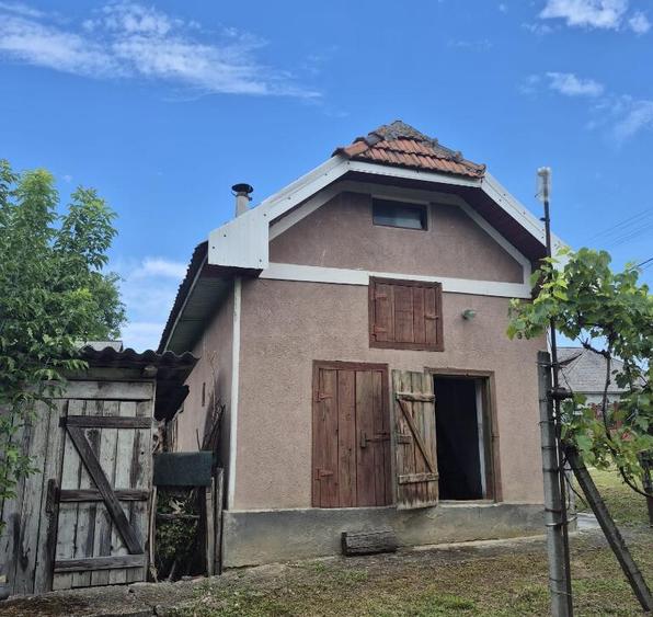 Somcuta Mare, casa 9 ari teren - 3