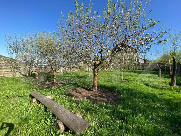 Casa de vanzare in Baciu, Mera - liniste, spatiu si natura la doar 13 km de oras - 7