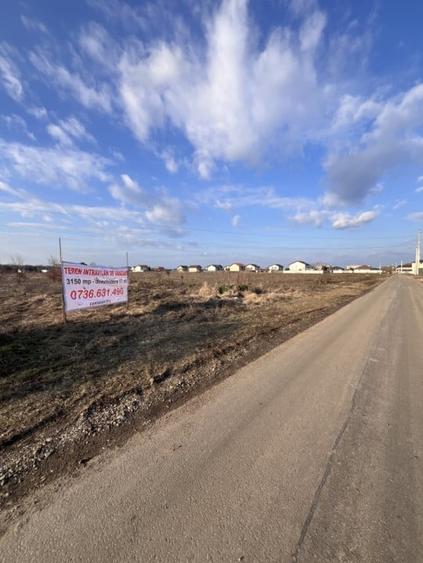 Teren intravilan vanzare- Utilitati-Zona Rezidentiala-Asfalt - 3