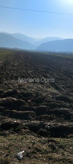 Teren cu suprafata de 1569mp, cu deschidere la drumul national iin Gura Raului
