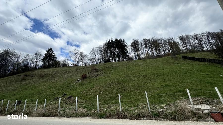 Teren panoramic de vanzare in Namaesti (Arges) 6.996 mp - 3