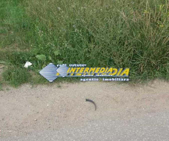 Teren de vanzare in Oarda, zona Ses la sosea 2000 mp - 2