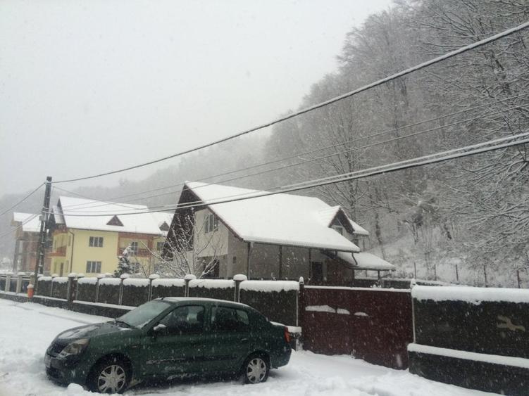 CASA DE VACANTA - TISMANA - GORJ - 9