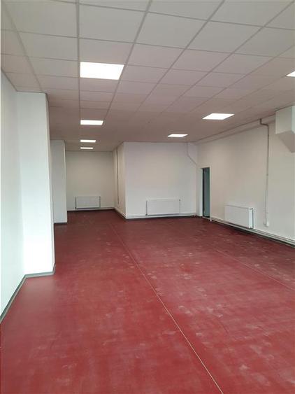 Spatiu Industrial - 1300 mp - Productie - Depozitare - Distributie - 22