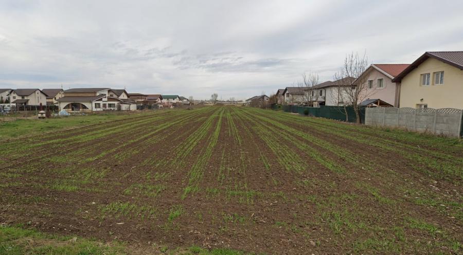 Teren Extravilan Padurea Craiului la intrarea in Com. Berceni | 3200mp - 2