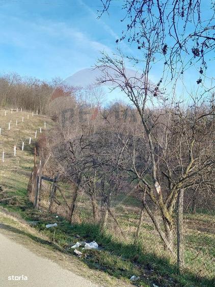 Teren intravilan 1736mp com. Bogati (Arges) drum asfaltat, utilitati - 5