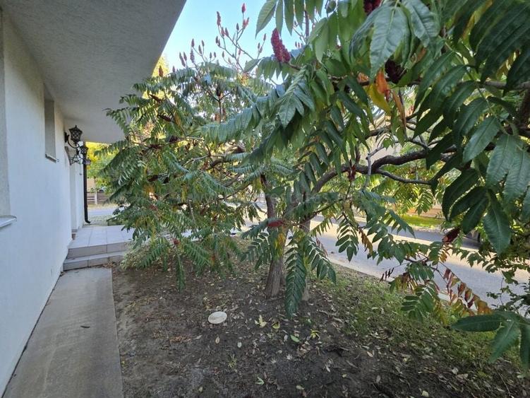 VILA DE VINZARE IN PALADIN RESIDENCE CORBEANCA - 53