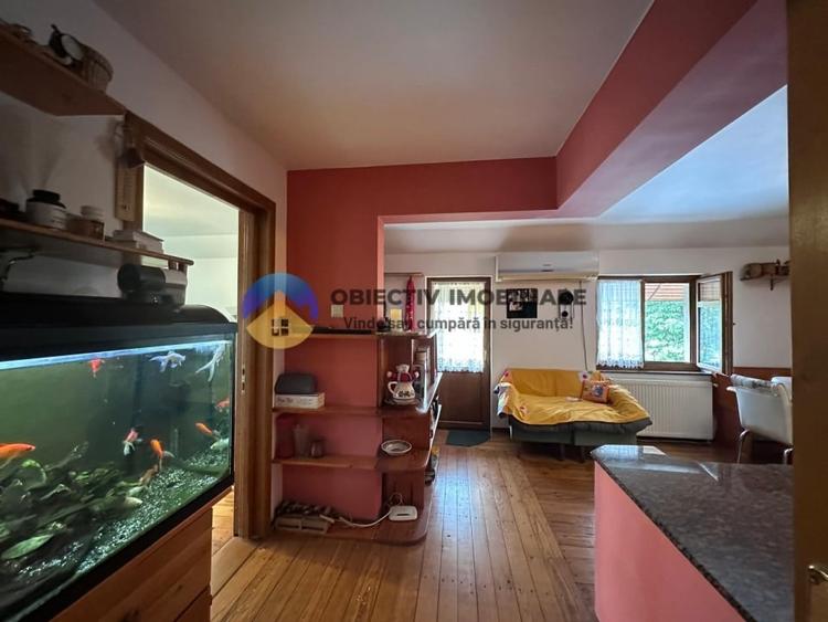 Casa cu priveliste panoramica spre lac si munte - Alexandru cel Bun - 18