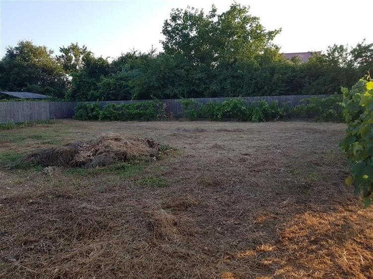 Teren pentru casa sau pensiune -  Comision 0% - 510 mp pana la 800 mp - 7