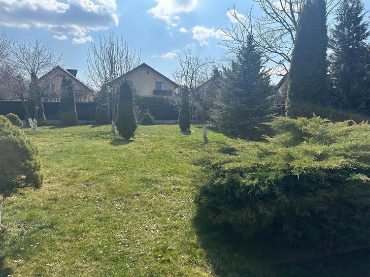 Teren de vanzare in Sanpetru - 1