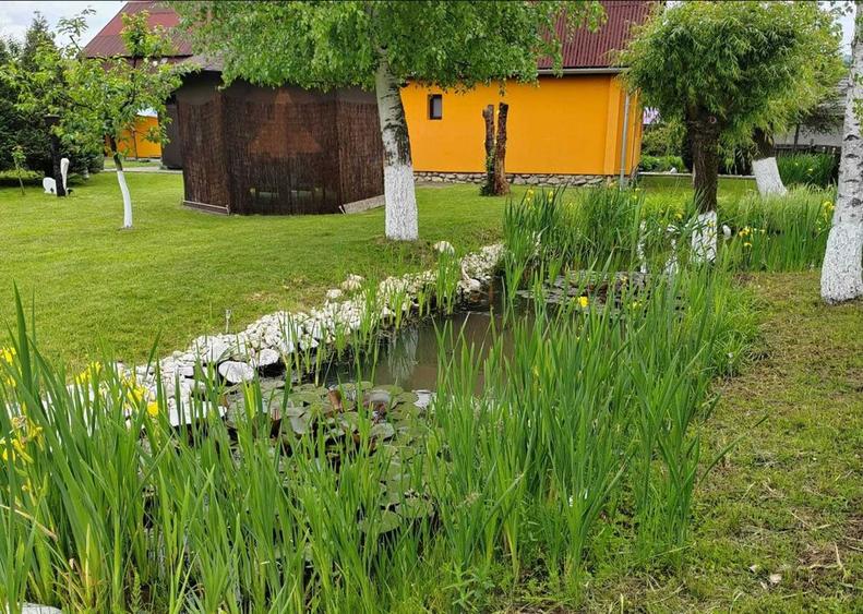 Pensiune premium de vânzare – Eden Garden Sovata - 6