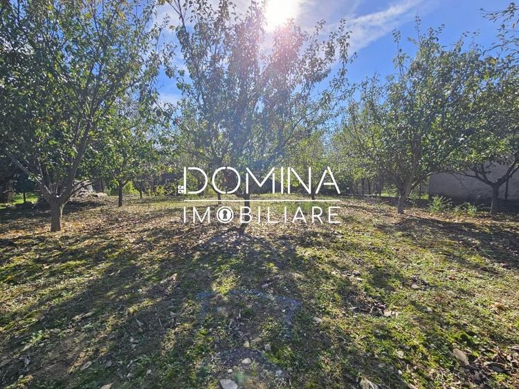 Vanzare teren *intravilan 308 mp cu utilitati* - Sat Ceauru, Comuna Balesti - 3