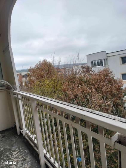 Chirie 4 cam Scortarilor - 7