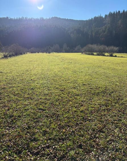 Teren intravilan - 9