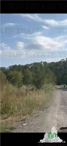 Teren in fata padurii Baneasa - 6