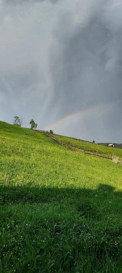 Vand casa 64mp+grajd 35mp+teren 6100mp, curent, apa, internet, deschidere la drum, in sat Glodu - 3