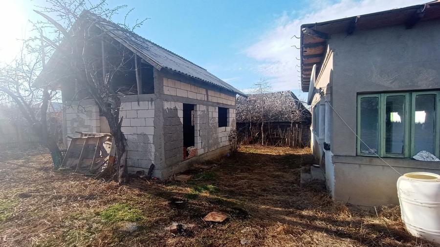 Gospodarie rurala/casa de vanzare - 3