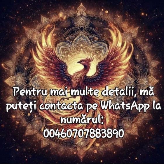 Teren de vanzare Jud Bacau - 2