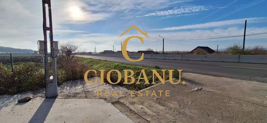 Hala de vanzare in Racarii de Jos - 19