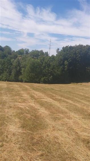 RECO, Teren intravilan, zona Sinteu, 2 Km de Huta Slavia - 4