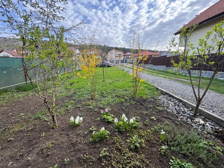 Ofertă de vânzare casă, 261 mp.+895 mp curte, Câmpenești - 14