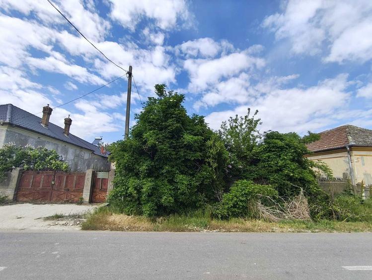 Vand pachet proprietati teren intravilan + 3 parcele extravilane | Poiana Mare, Dolj - 5