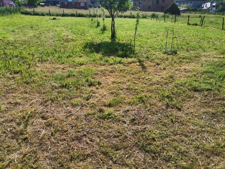 Casa in Suciu de Sus - 6