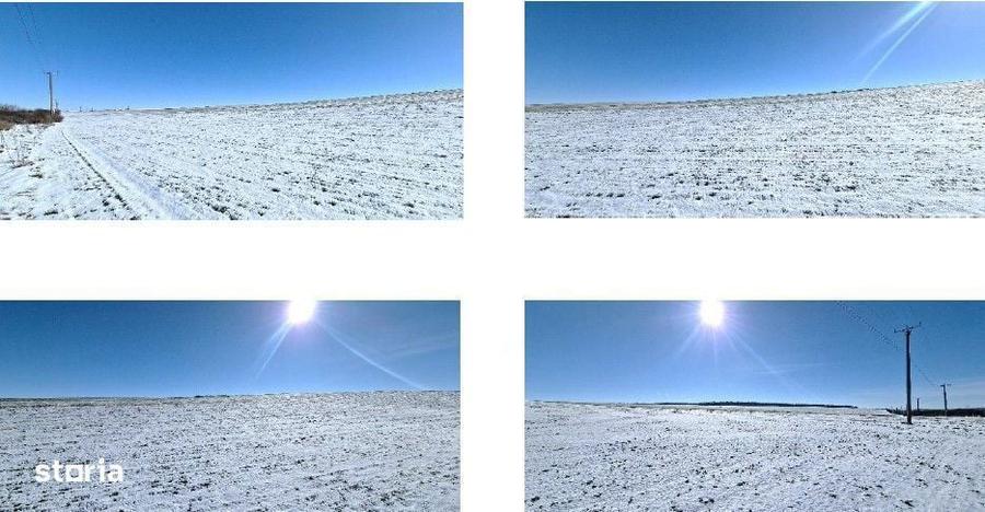 Teren extravilan Magura, ID: R2944340 - 4