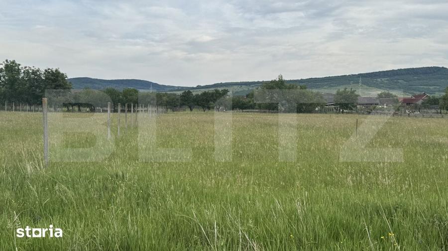 1100 mp de teren intravilan in Livezile, perfect pentru constructie - 5