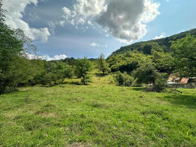 Teren 2 hectare pe Valea Ariesului, zona Scarita-Belioara, pret oportun 2 Eur/mp - 4