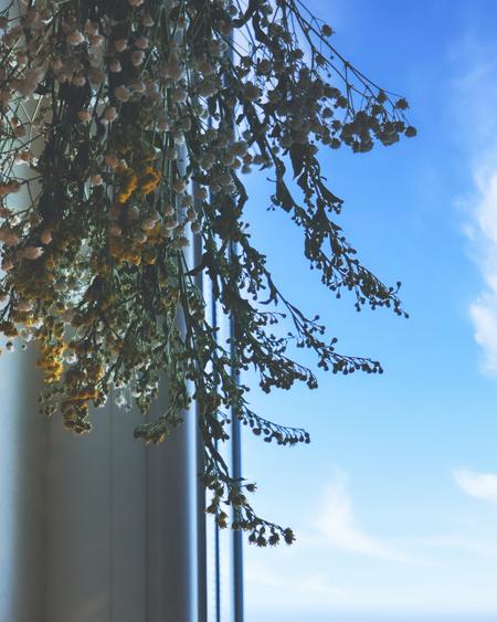 Comision 0 - zona Dacia, str.Labrint - Apt. 2 camere - renovat - 18