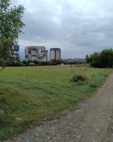 Teren intravilan 8000 mp , DR.D.Vechi - 6