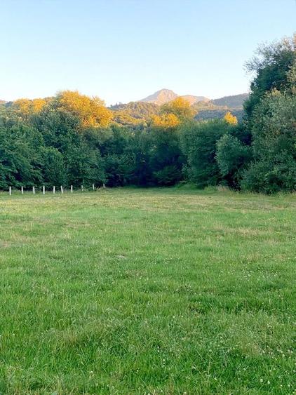 Teren superb Rasnov cu priveliste si rau - 7