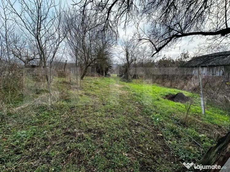 Casa 3 camere, zona Balanesti, teren 2792mp - 2